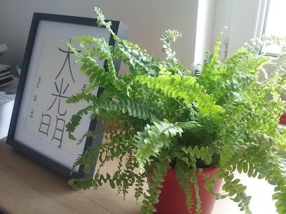 Nathalie Coutey - Hypnothérapeute & Energéticienne, Hypnothérapeute à Lanester