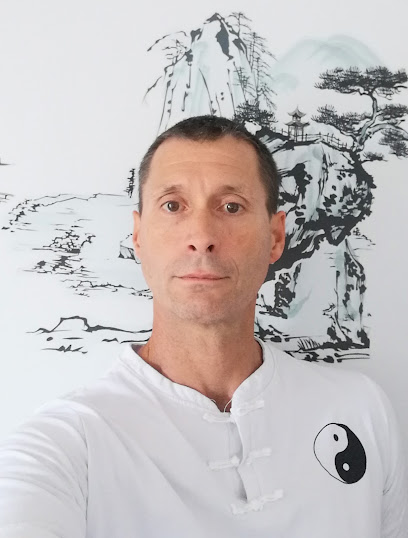 Soins Énergétiques Selon La Médecine Traditionnelle Chinoise, Praticien De Médecine Alternative à Grasse