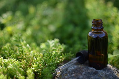 REFLEXOLOGUE Corinne Lemaitre EI (Réflexologie Plantaire Et Palmaire), Médecine Douce énergétique Chinoise 44, Réflexologue à Saint-Philbert-de-Grand-Lieu