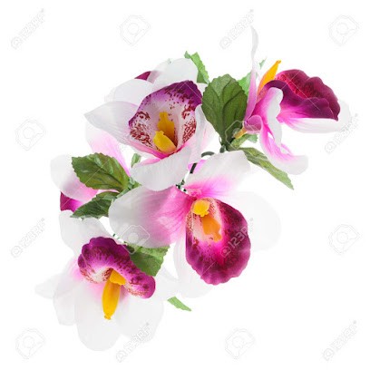 SHIATSU Reflexo Holistic, Praticien de Médecine Alternative à Esches