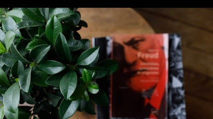 Richard Debret psychanalyste & psychothérapeute, Praticien de Médecine Alternative à Paris 18