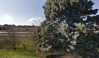 Marie LECOQ, Natural et Mom, Praticien de Médecine Alternative à Bédarrides