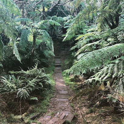 Édouard Chéron | Hypnothérapeute | Hypnopraticien (77), Hypnothérapeute à Dammartin-en-Goële