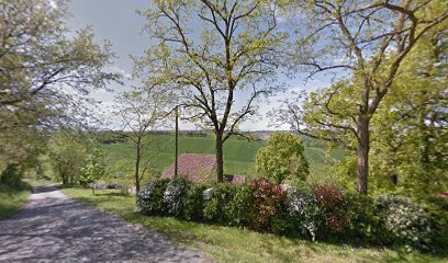 Marie Françoise BAUDIN, Praticien de Médecine Alternative à Loubens-Lauragais