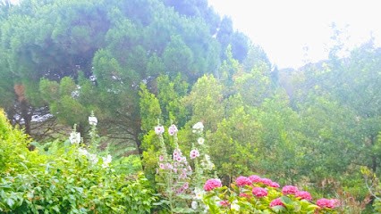 Laëtitia Fresse Hypnothérapeute énergéticienne Ramatuelle Golfe De St-Tropez Var, Hypnothérapeute à Ramatuelle