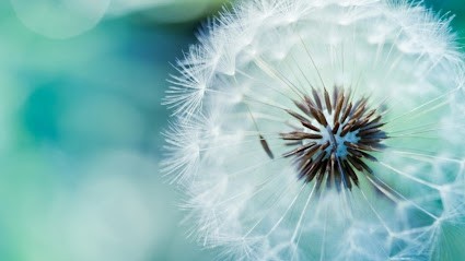 Muriel Bremier Hypnothérapeute, Hypnothérapeute à Chaumont