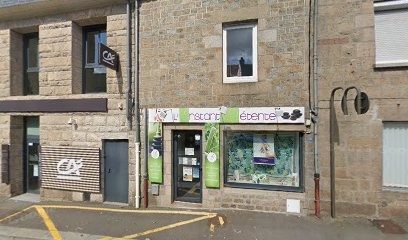 Lucie Naturopathe Santé, Praticien de Médecine Alternative à Louvigné-du-Désert