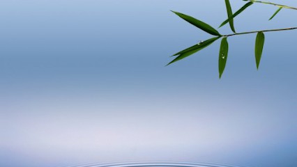 Ludivine NATANNI - Hypnothérapeute - Magnétisme Thérapeutique, Hypnothérapeute à Mouvaux