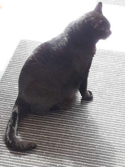 Marx Schiffli Marie-Christine, Réflexologue à Scharrachbergheim-Irmstett