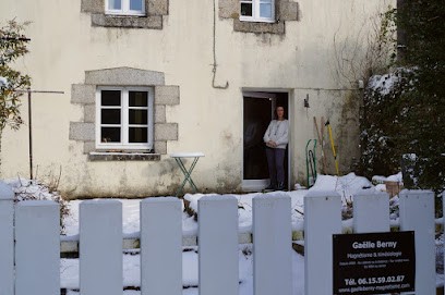 Gaëlle BERNY Magnétisme Et Kinésiologie, Praticien de Médecine Alternative à La Feuillée