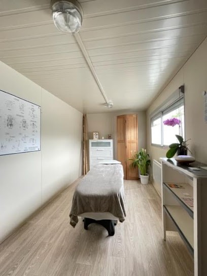 Bernadette DELHOMME - Ostéothérapeute-Magnétiseur-Reiki, Praticien de Médecine Alternative à Mehun-sur-Yèvre