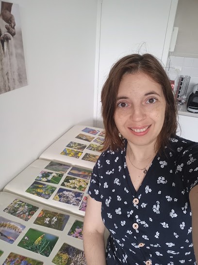 Bellénature - Naturopathe - Fleurs Bach, Praticien de Médecine Alternative à Villeneuve-d'Ascq