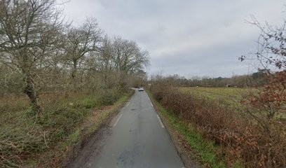 Auréline André Naturopathe Bordeaux, Praticien de Médecine Alternative à Mérignac