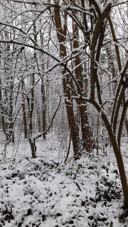 Emilie Lefevre Vasseur - Sophrologue Relaxologue Sophrotherapeute Val D'oise, Praticien de Médecine Alternative à Méry-sur-Oise