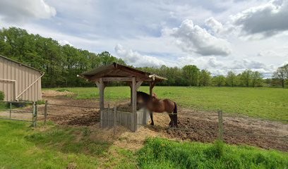 Cyrielle PROUST - Réflexologue plantaire et Thérapeute Reiki, Réflexologue à Bouzy-la-Forêt