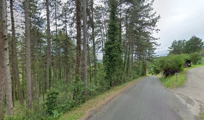 Roger Energéticien, Praticien de Médecine Alternative au Bugue