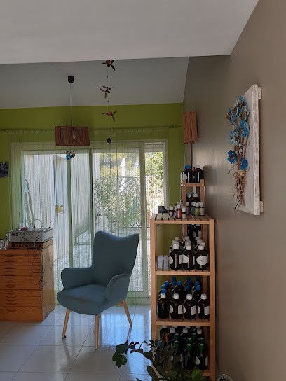 Nathalie Wroblak Sierka Naturopathe Heilpraktiker Biorésonance, Praticien de Médecine Alternative à Sausset-les-Pins