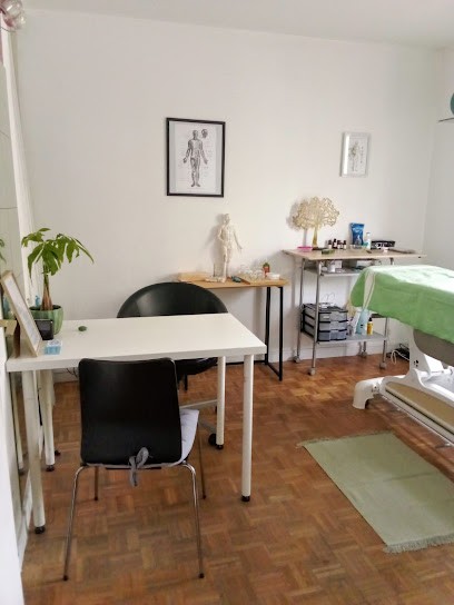 San Qi - Cabinet D'Energétique Chinoise - Sandra CHAUVEAU, Praticien de Médecine Alternative à Charenton-le-Pont