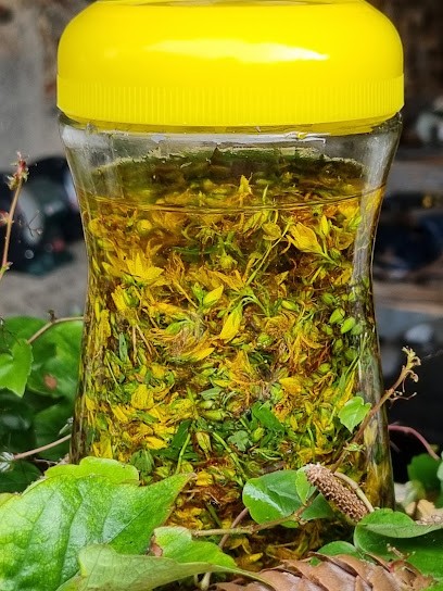 Naturopathy Haute Garonne South Toulouse, En Ligne Ou In Cabinet, Praticien de Médecine Alternative à Mondavezan