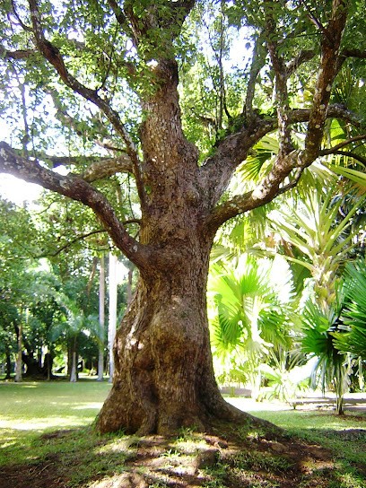 Muriel PANIGHI, Sophrologue Certifiée, Sophro Thérapeute, Praticien En Thérapies Brèves., Praticien de Médecine Alternative à Saint-Raphaël