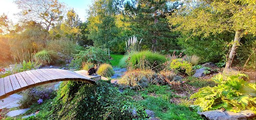 Catherine Crapoulet - Naturopathe & Reflexologue à Saint-Rémy-lès-Chevreuse, Praticien de Médecine Alternative à Saint-Rémy-lès-Chevreuse
