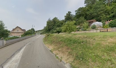 Dominique Strassel - Naturopathe, Praticien de Médecine Alternative à Raedersdorf