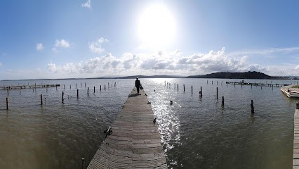 Xeridat Marie Paule, Hypnothérapeute à Pollestres