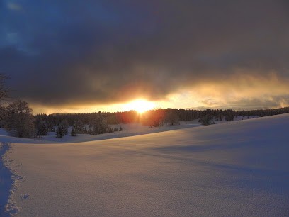 Elsa Delacroix, Astrologue Conseil, Praticien de Médecine Alternative à La Pesse