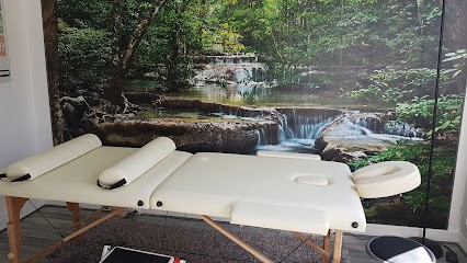 Agnès Auger Magnétiseur Et Sophrologue, Praticien de Médecine Alternative à Villemomble