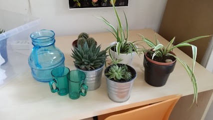 Claudine TARDY Naturopathe Réflexologue, Praticien de Médecine Alternative à Chazelles-sur-Lyon