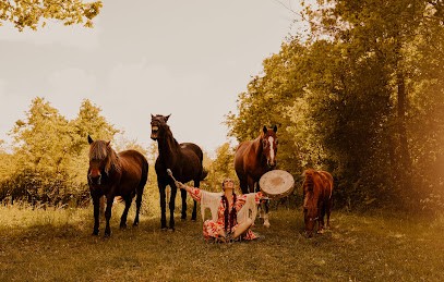 La Fée Chamane Des Chevaux, Praticien de Médecine Alternative à Saint-Laurent-Médoc