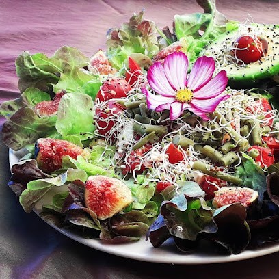 Cabinet De Naturopathie Et Réflexologie Plantaire Prisca Cugnot-Barreiro, Praticien de Médecine Alternative à Siorac-en-Périgord