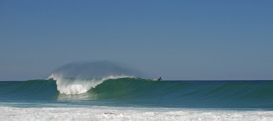 Sylvie BOLZER-Naturopathie/Aroma-Phyto-Gemmothérapie/Mycothérapie/Nutrition/Stress/Réflexologie/Massothérapie, Praticien de Médecine Alternative à Floirac