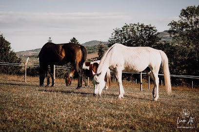Jennifer Vasa-Kocon De Liberté: Soin énergétique, Thérapie Assistée Par Le Cheval, Praticien de Médecine Alternative à Val d'Oingt