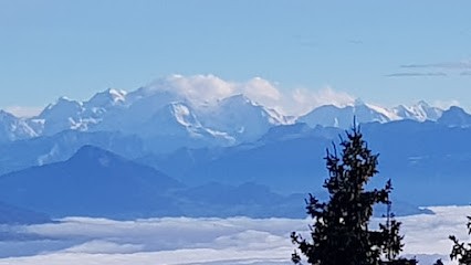 Frederique Simard Hypnose Cessy, Hypnothérapeute à Cessy