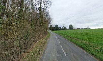 Réflexologue Plantaire Et Palmaire : Pascale Caneval, Réflexologue à Sèvres-Anxaumont