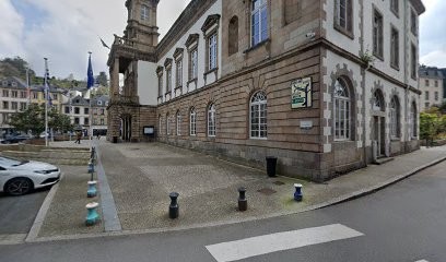 Patricia BUSCHLEN, Praticien de Médecine Alternative à Morlaix