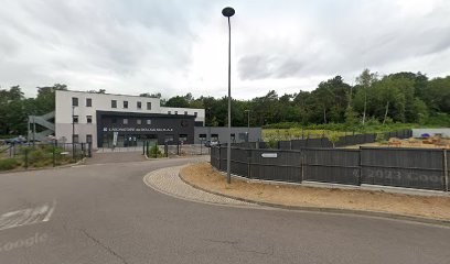 STEPHANIE SARACCA, Hypnothérapeute à Saint-Avold