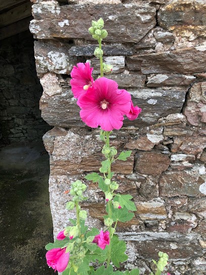 Carine Merlaud Hypnose, Praticien de Médecine Alternative au Landreau