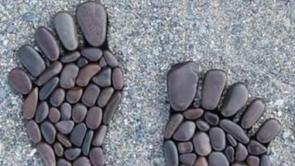 Camille PALMIER - Réflexologue - Magnetiseuse / P’tits Pieds Reflex, Réflexologue à Ribérac