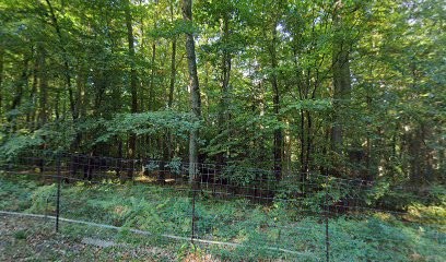 Lorea De Vos Magnétiseur, Praticien de Médecine Alternative à Tourville-sur-Pont-Audemer