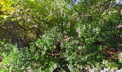 Magali Le Cor, Praticien de Médecine Alternative à Digne-les-Bains