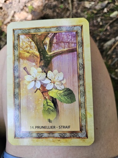 Christelle Mielle Giraud - Soins énergétiques & chamaniques. Massages, Danse medecine, Sylvothérapie, Praticien de Médecine Alternative à Grenoble