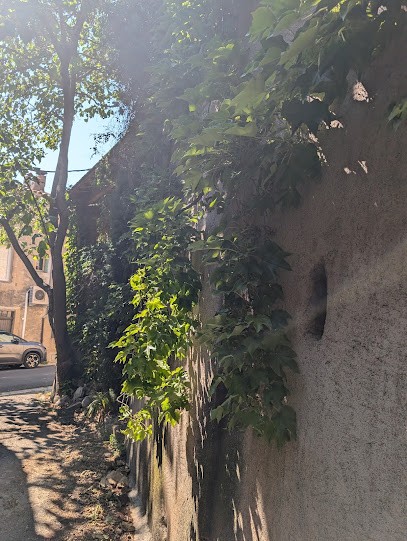 Aude Schaeffer, Praticien de Médecine Alternative à Montpeyroux