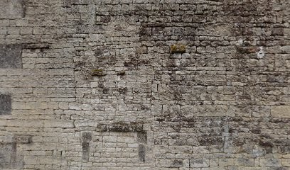 Elodie Bonté Hypnose, Hypnothérapeute à Sigogne