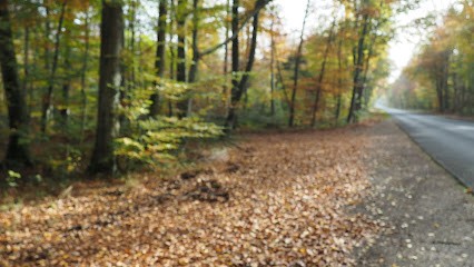 Francis Dot, Praticien de Médecine Alternative à Saint-Pierre-lès-Nemours