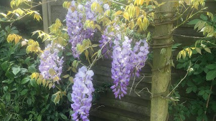 Naturopathe Conseillère élixirs Floraux, Praticien de Médecine Alternative à Égly