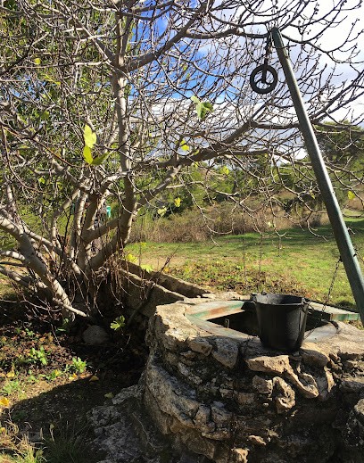 Cécile FUKARI | Naturopathe, Praticien de Médecine Alternative à Marseille 16
