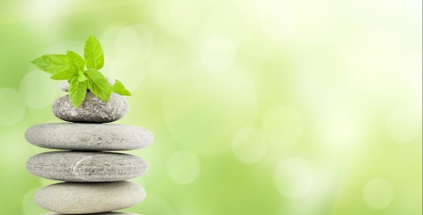 Valerie LETESSIER - Sophrologie / Somato-psychopédagogie, Praticien de Médecine Alternative à La Roche-sur-Foron