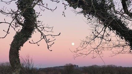 Célestus Magnétisme | Soins Énergétiques et Coupeur de Feu, Magnétiseur à Ploudiry, Finistère avec Jérôme Lozano, Praticien de Médecine Alternative à Ploudiry